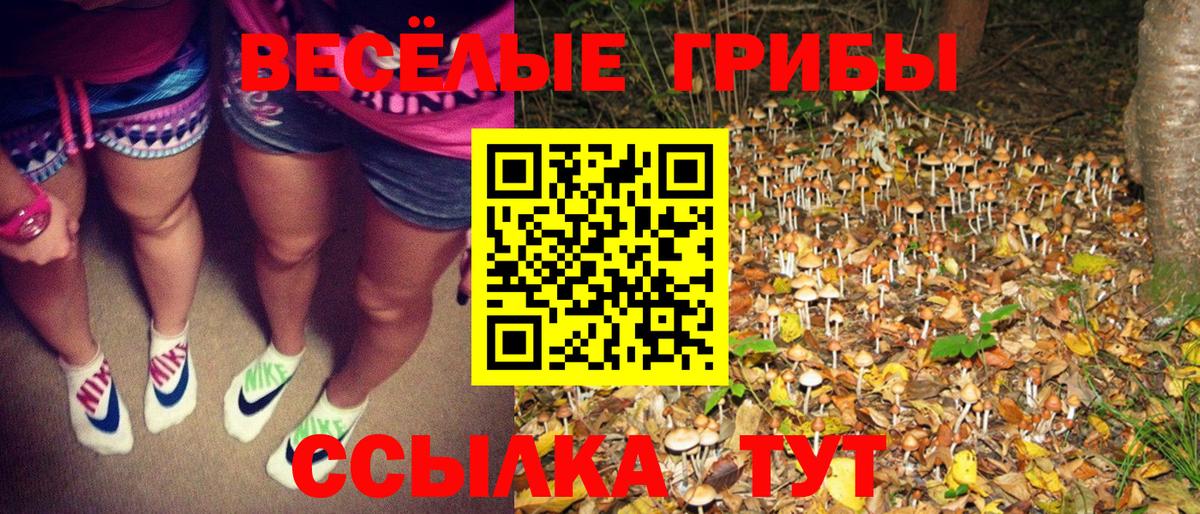 купить наркотики цена  Галлюциногенные грибы мухоморы  Вход с VPN  Галлюциногенные грибы прущие грибы  Южно-Сахалинск 